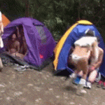 【エロGIF画像】 おいｗｗｗｗｗキャンプ場でセックスしてる連中がいるぞｗｗｗｗｗｗｗｗｗｗ